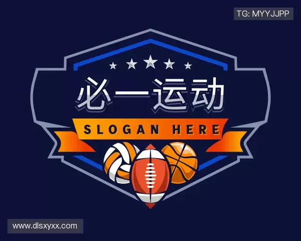 介绍B体育官网