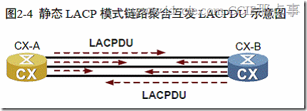 LACP简介
